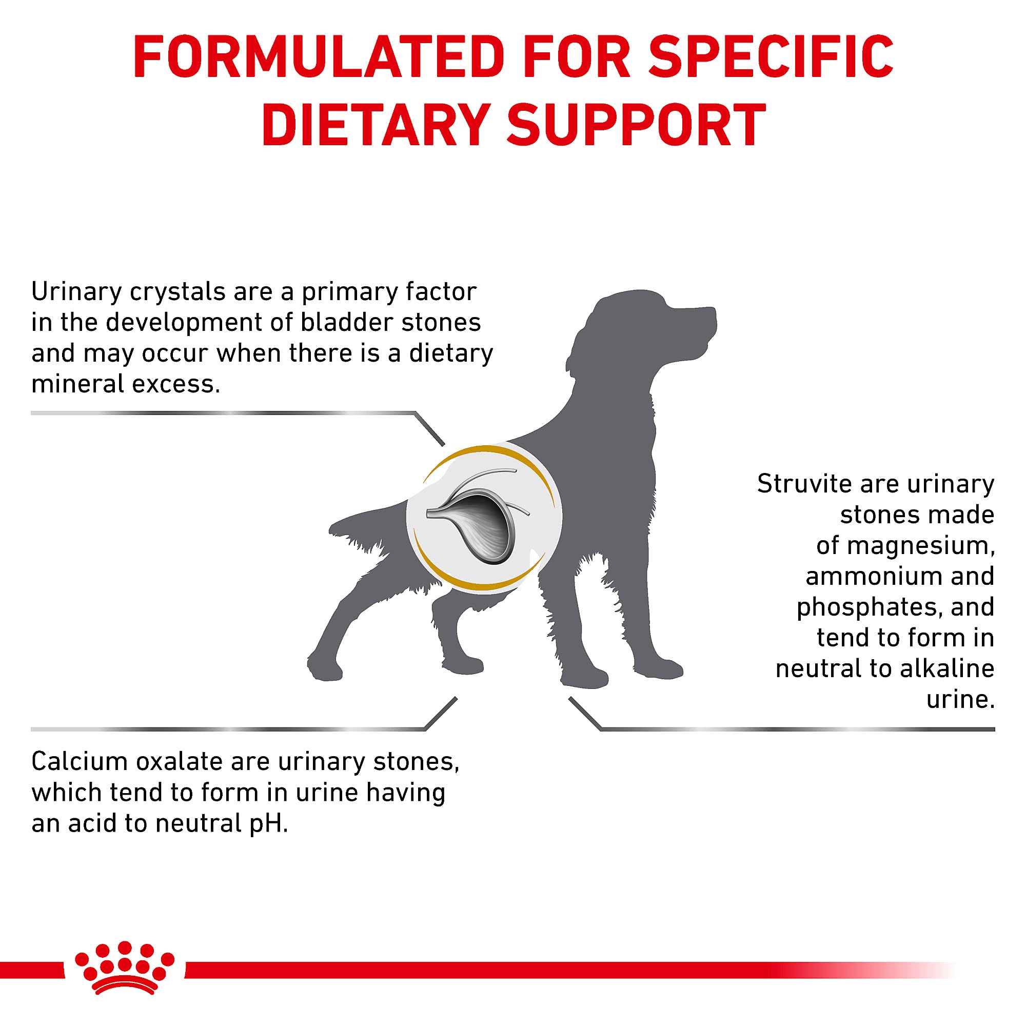 ROYAL CANIN mélange sec et humide augmente hydratation et saveur