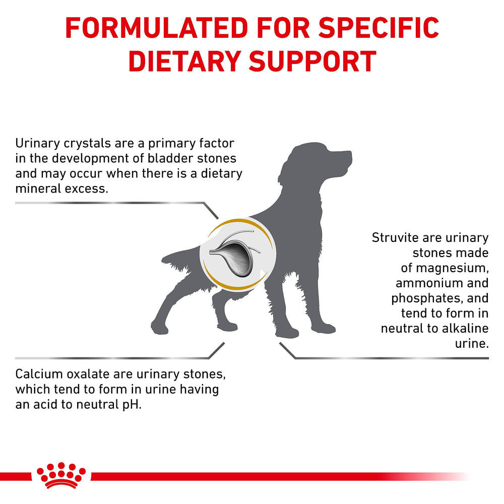 ROYAL CANIN mélange sec et humide augmente hydratation et saveur