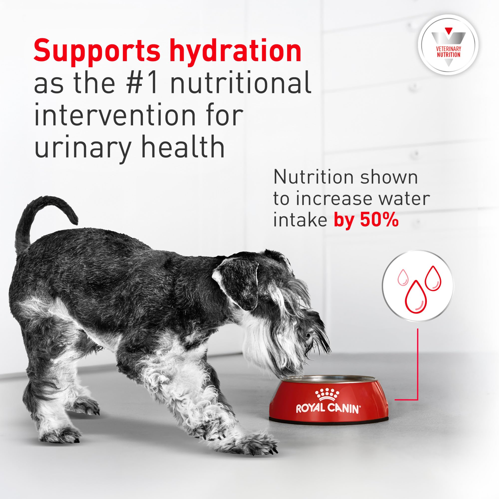 Royal Canin sac 8 kg à l'échelle pour visualiser quantité et praticité