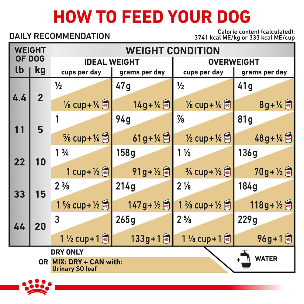 ROYAL CANIN sachet ouvert conservation pratique pour fraîcheur