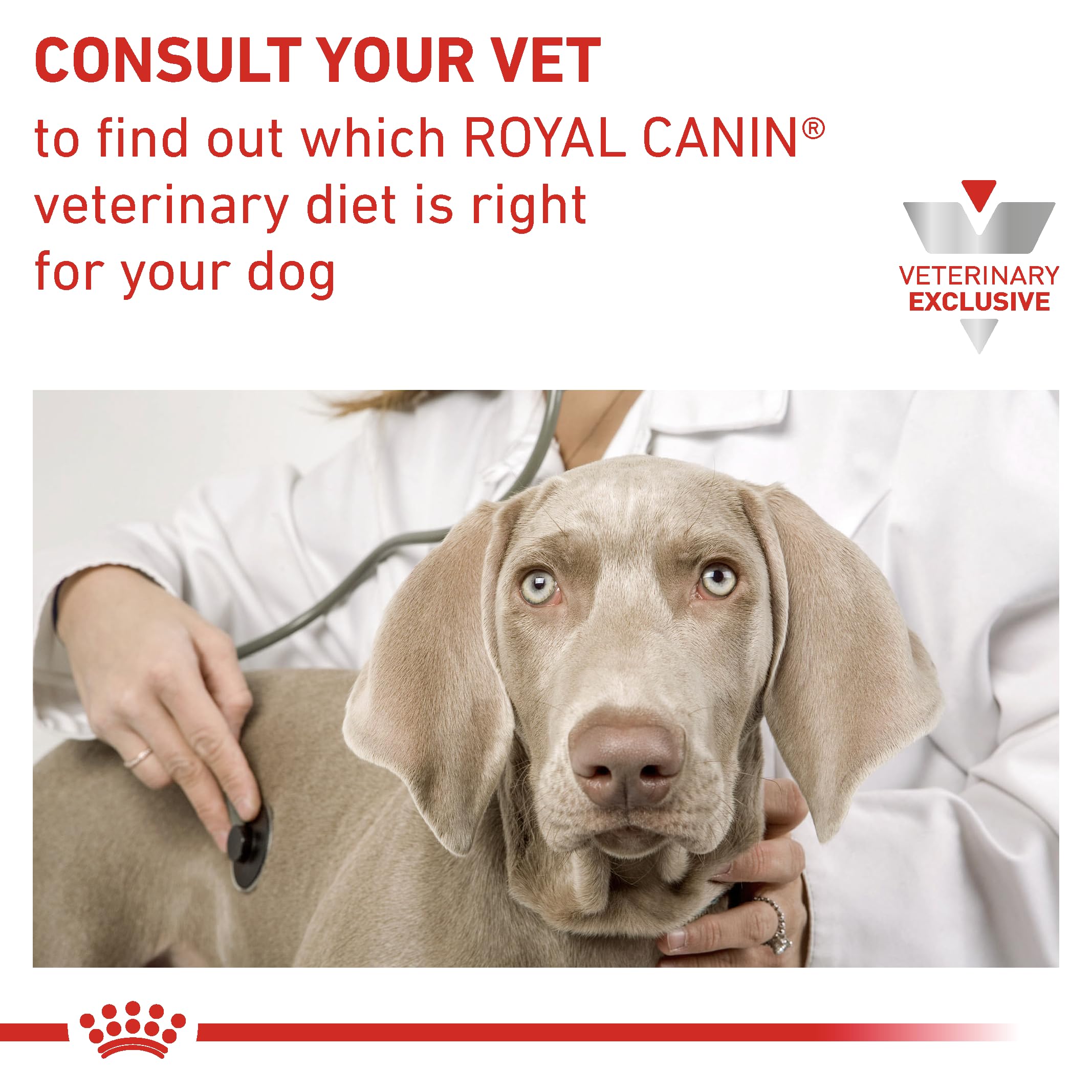 ROYAL CANIN portion stockage pratique dose adaptée au poids