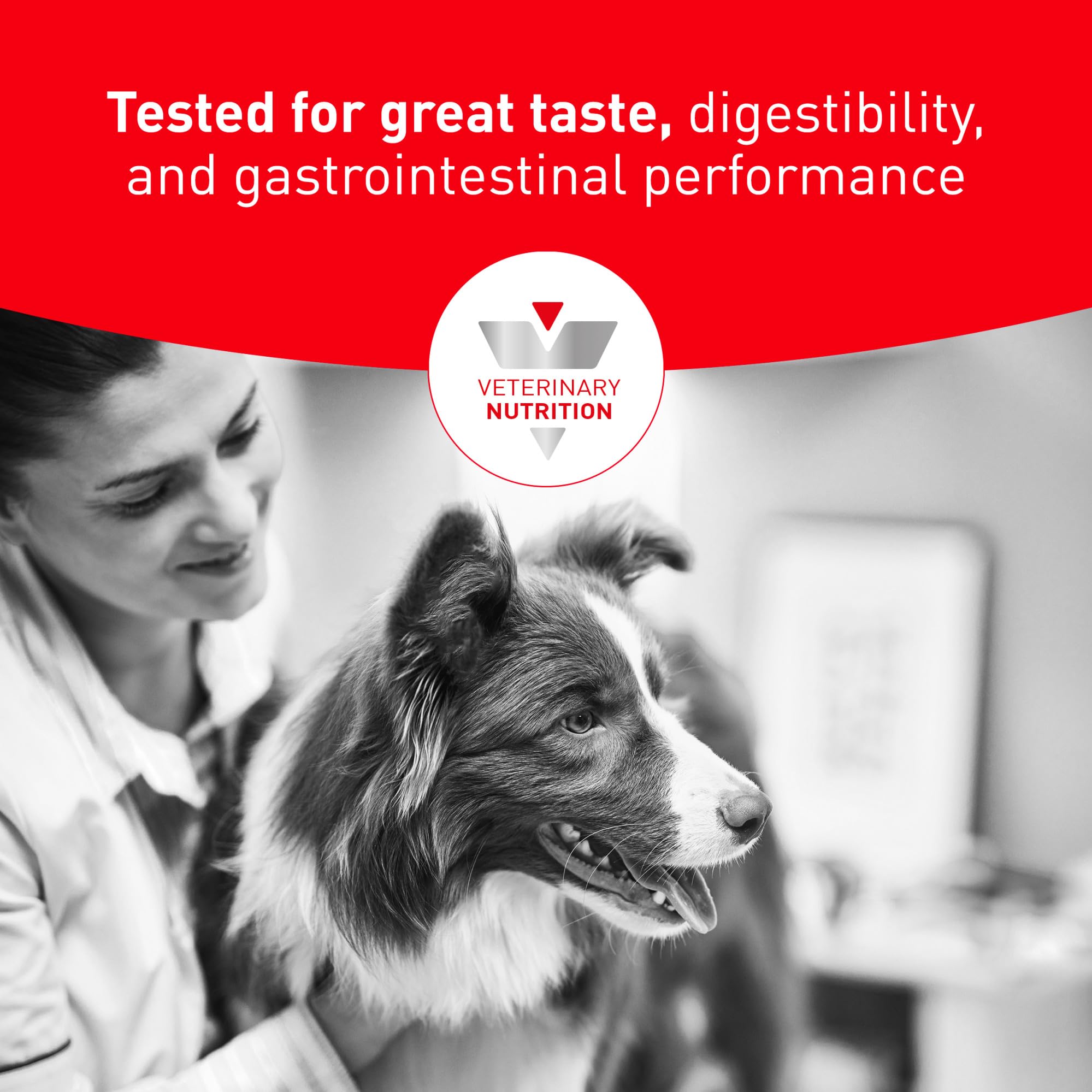 Royal Canin vétérinaire en consultation recommandant Urinary SO pour suivi