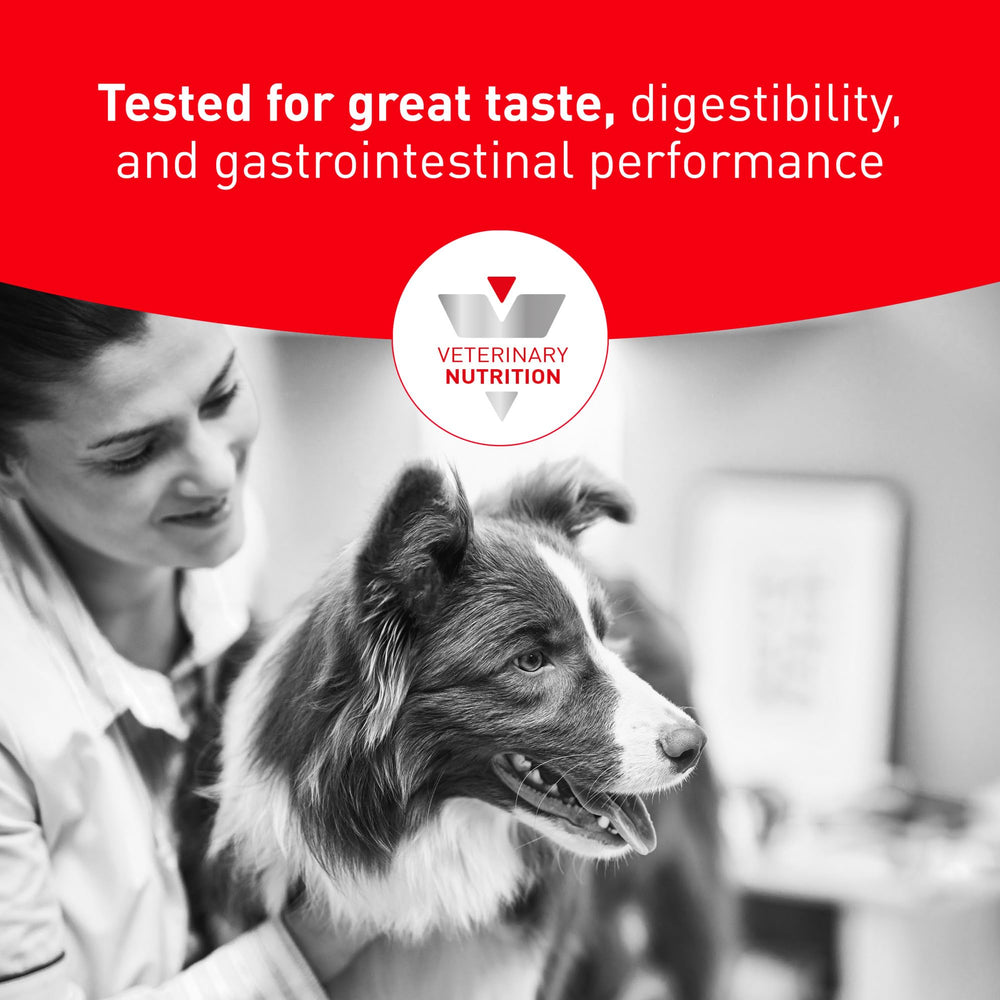 Royal Canin vétérinaire en consultation recommandant Urinary SO pour suivi