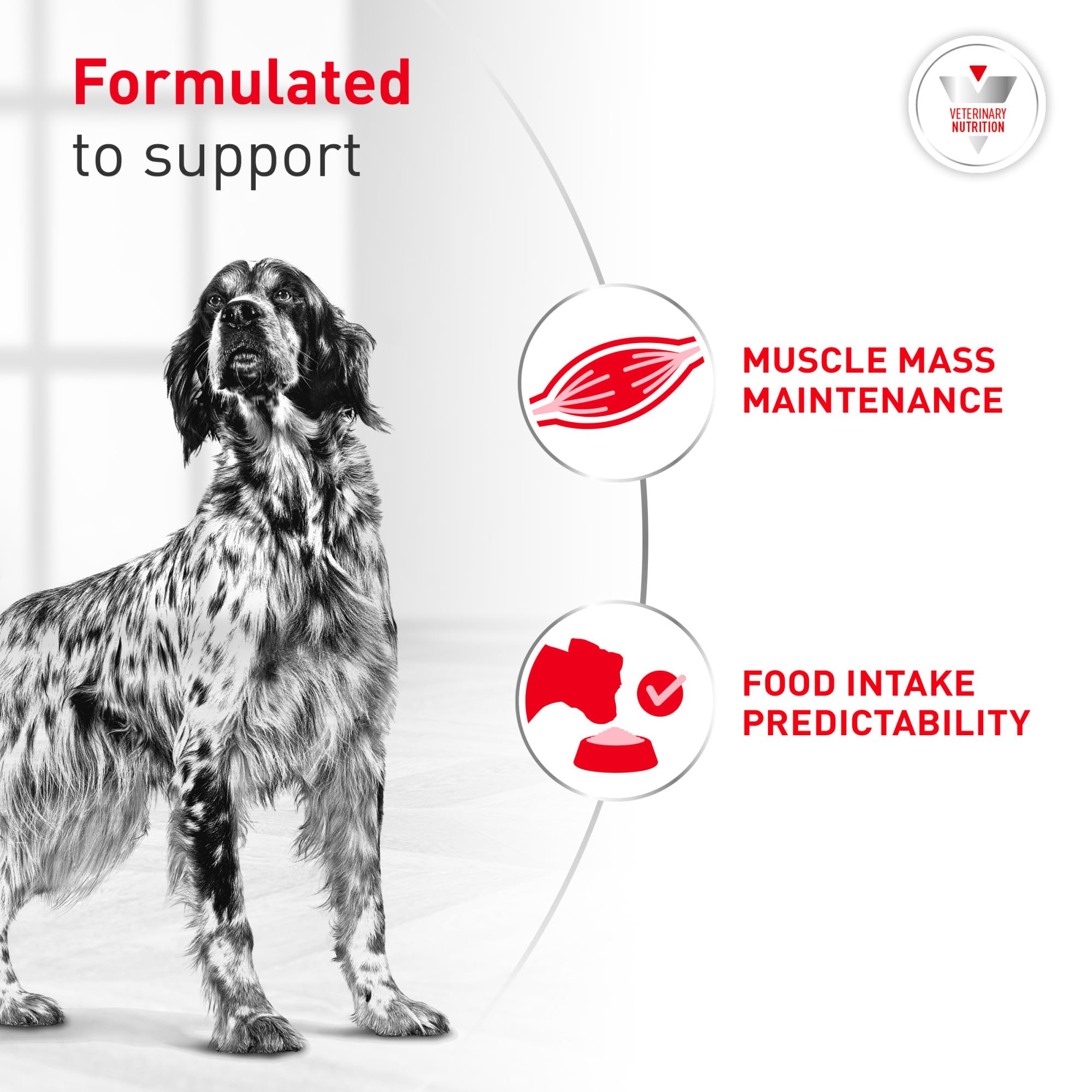 ROYAL CANIN étiquette nutritionnelle lisible pour suivi vétérinaire