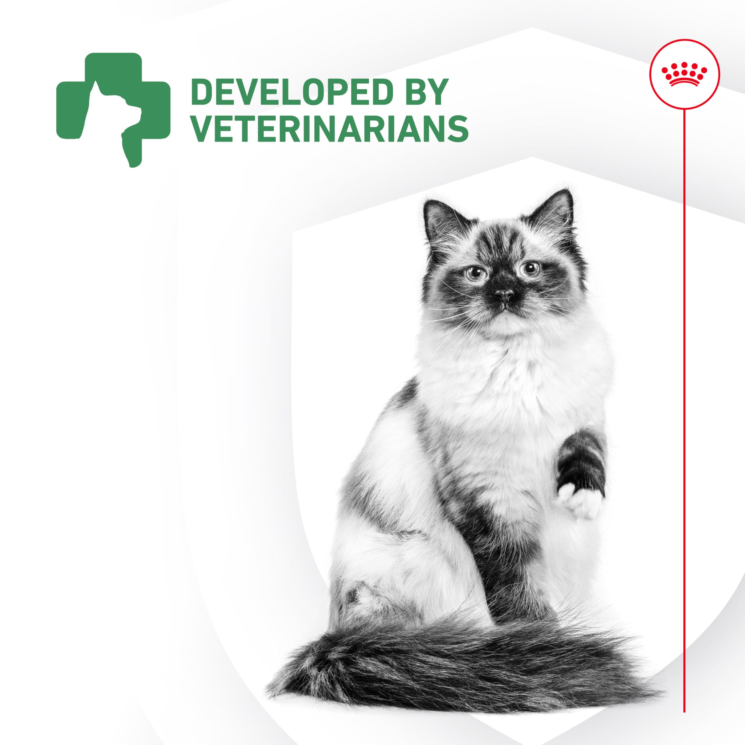 Royal Canin vétérinaire conseille usage pour santé intestinale générale