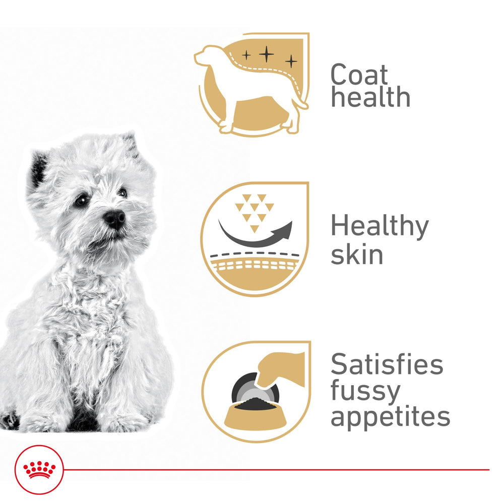 ROYAL CANIN croquette dans une main illustrant la taille adaptée pour museau court du Westie