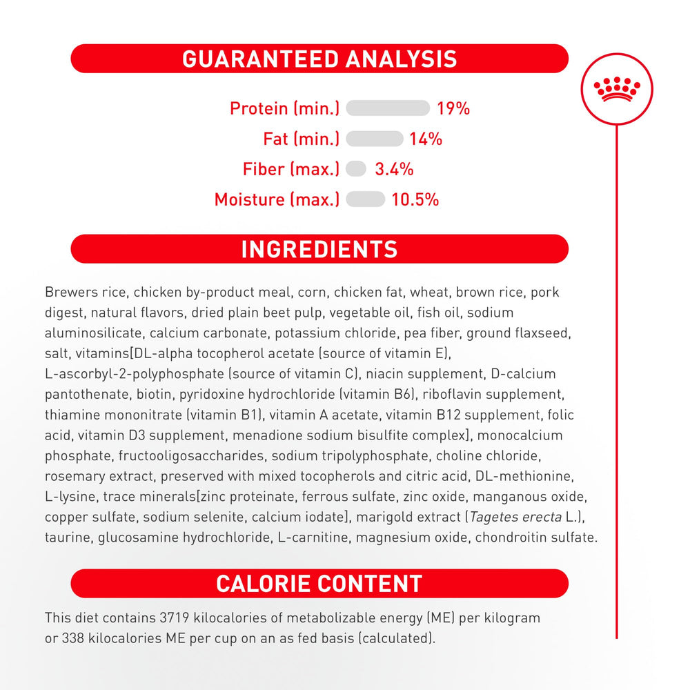 ROYAL CANIN sac 10 lb posé, montrant format familial et conservation pratique