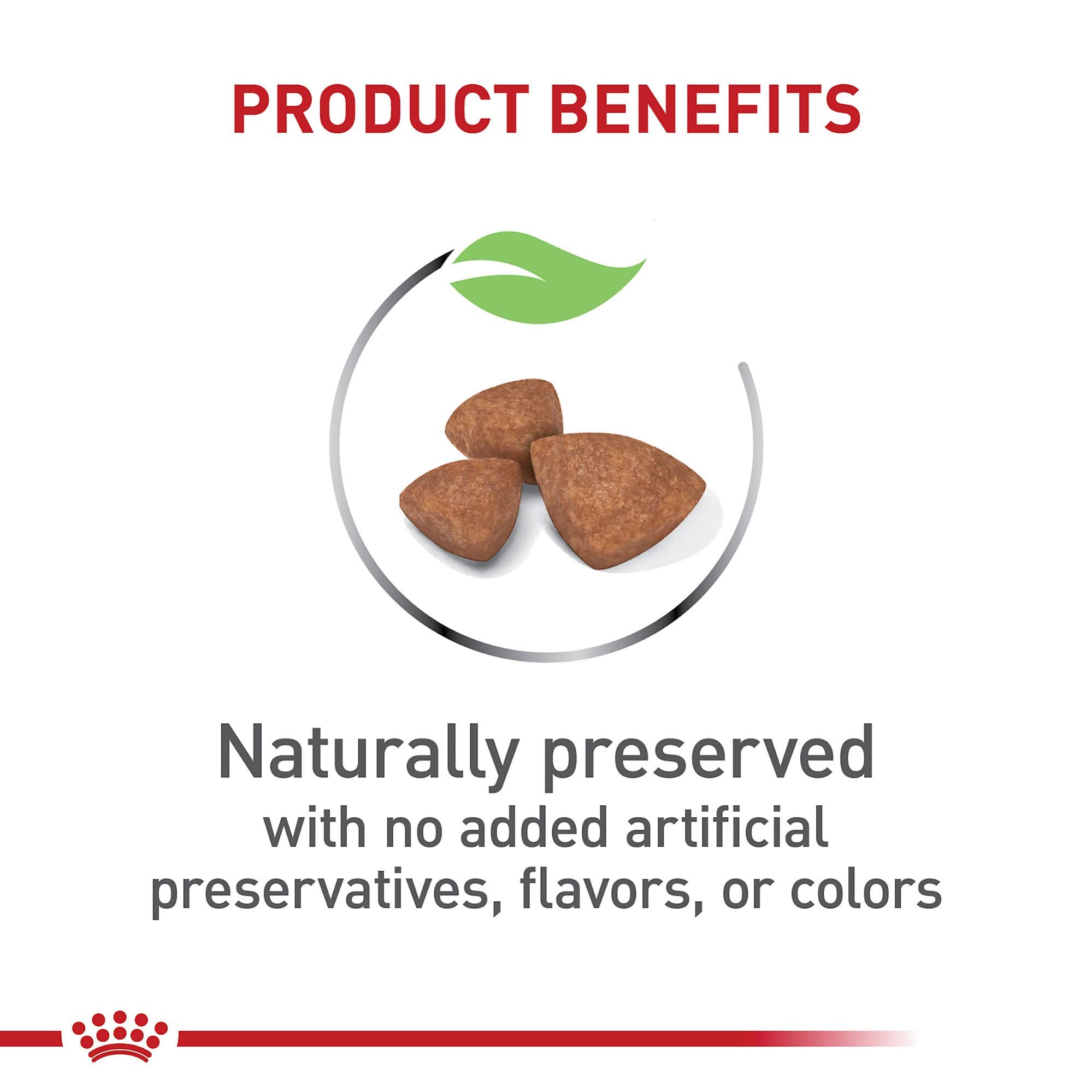 Comparaison taille croquette ROYAL CANIN X-Small montrant dimensions adaptées petites mâchoires