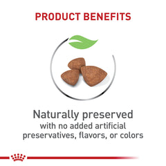 Comparaison taille croquette ROYAL CANIN X-Small montrant dimensions adaptées petites mâchoires