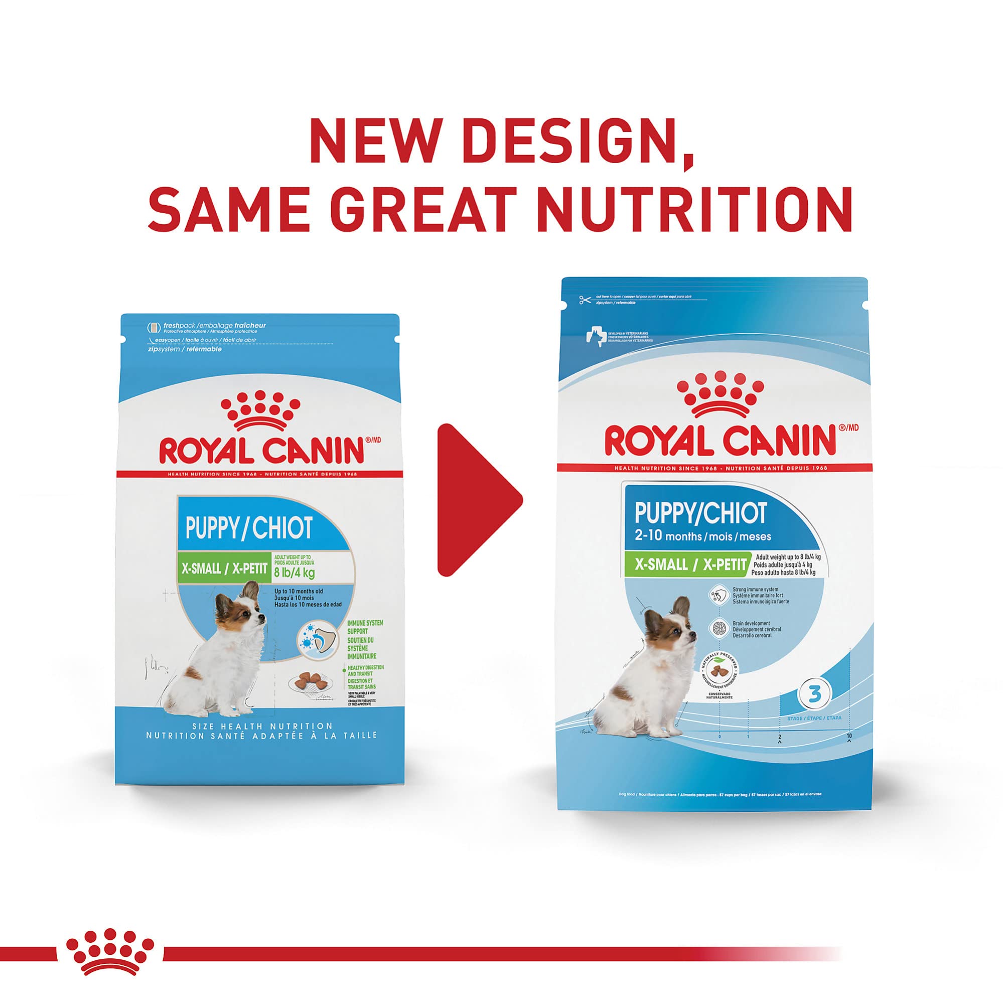 Gros plan sur croquette ROYAL CANIN X-Small montrant texture croustillante bénéfique mastication
