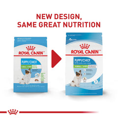 Gros plan sur croquette ROYAL CANIN X-Small montrant texture croustillante bénéfique mastication