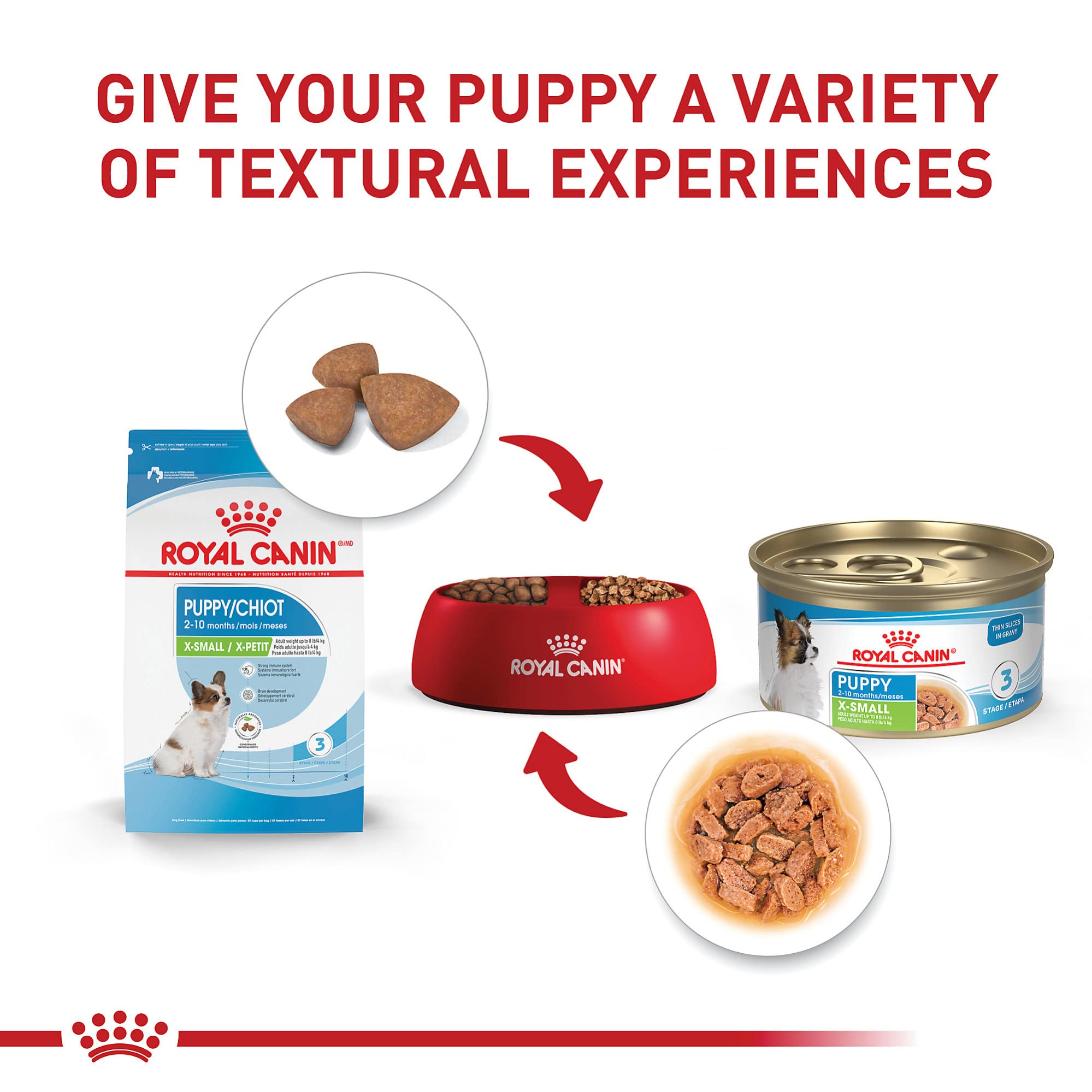 Dos de l’emballage ROYAL CANIN X-Small affichant ingrédients et informations nutritionnelles claires