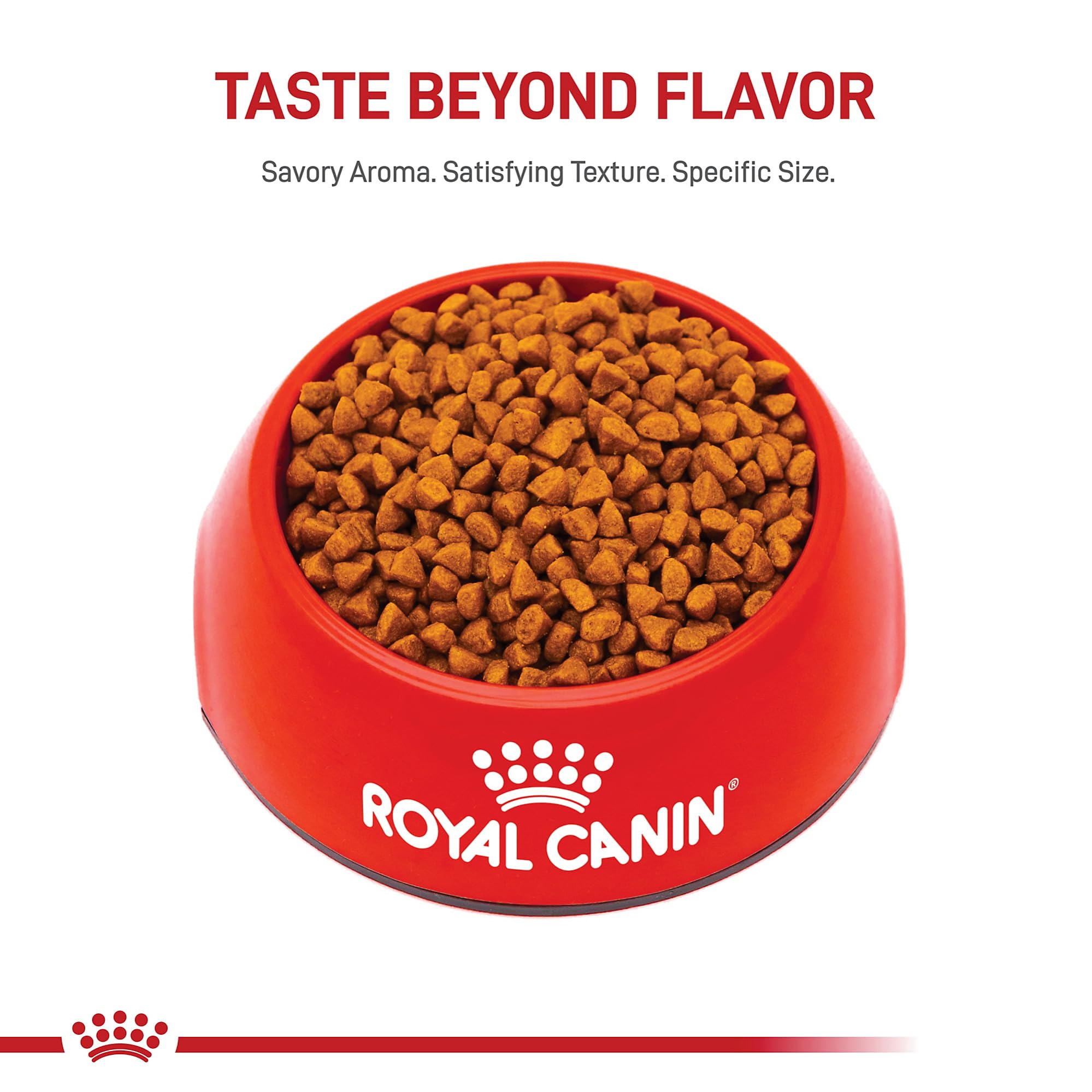 Plan sur étiquette nutritionnelle ROYAL CANIN détaillant DHA, vitamines et prébiotiques