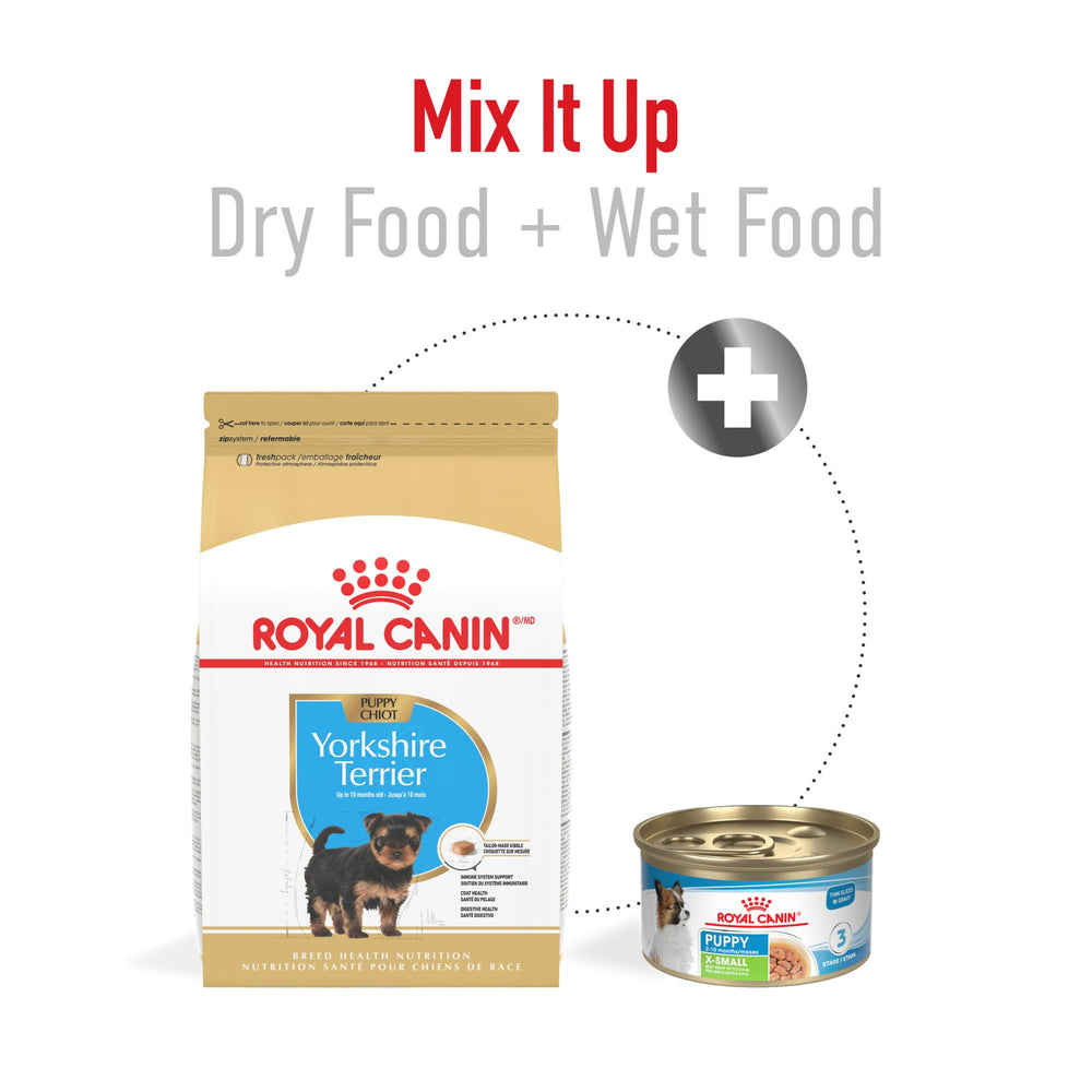 ROYAL CANIN étiquette nutritionnelle en gros plan indiquant vitamines et antioxydants