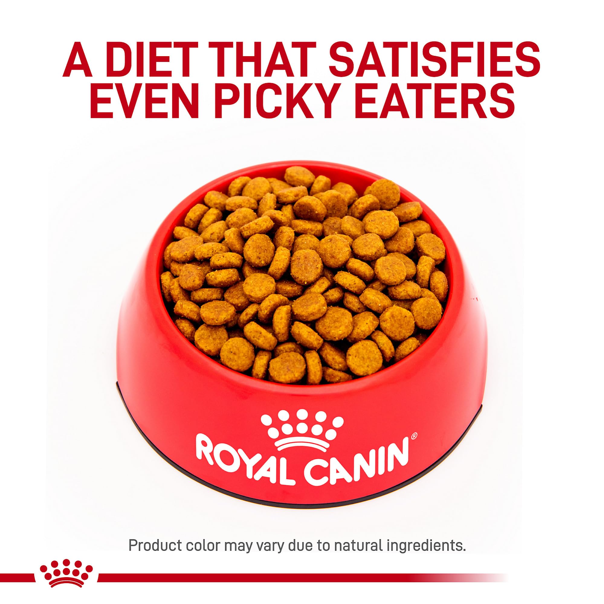 ROYAL CANIN zoom étiquette nutrition — informations claires pour propriétaire