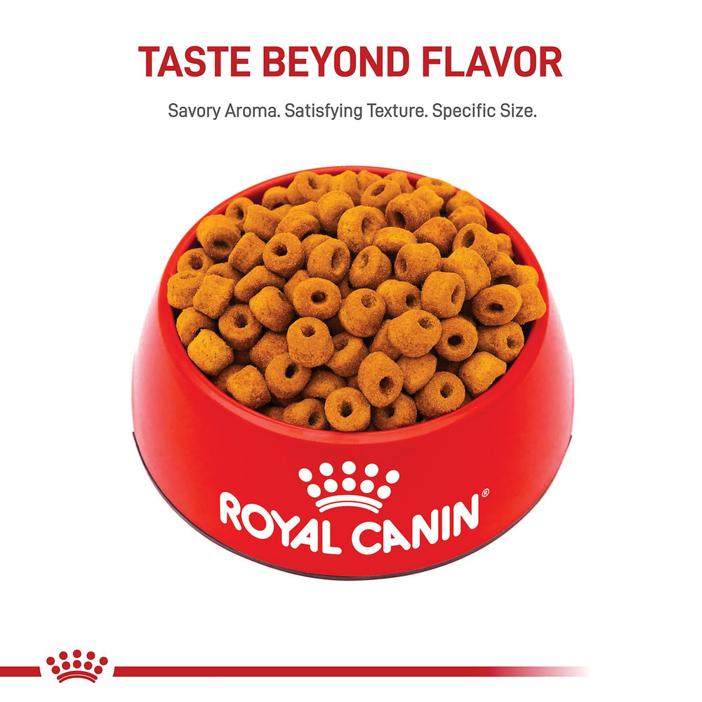 ROYAL CANIN focus sur glucosamine et EPA montrant soutien articulaire