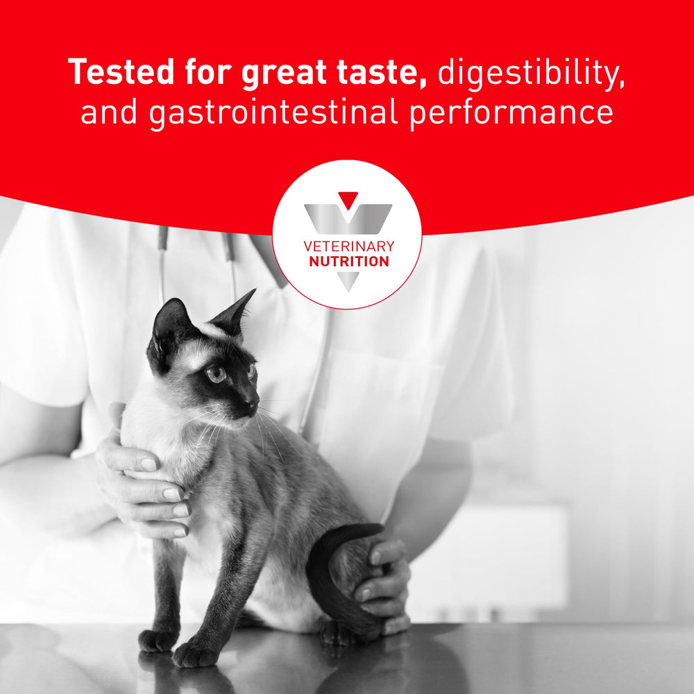 ROYAL CANIN texture des croquettes montrant composition et qualité
