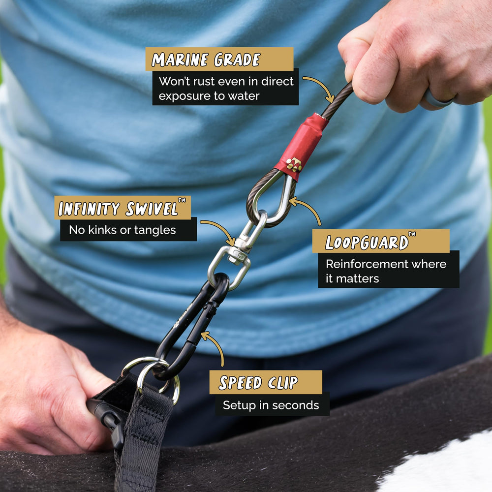 ROYAL PAW connexion cliquet et attache robuste pour sécurité