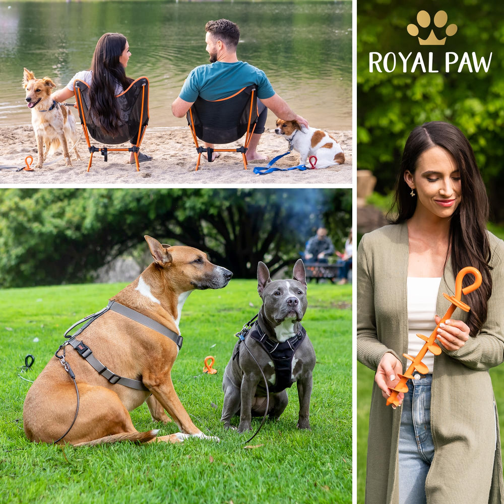 ROYAL PAW piquet en usage dans jardin avec chien attaché en sécurité