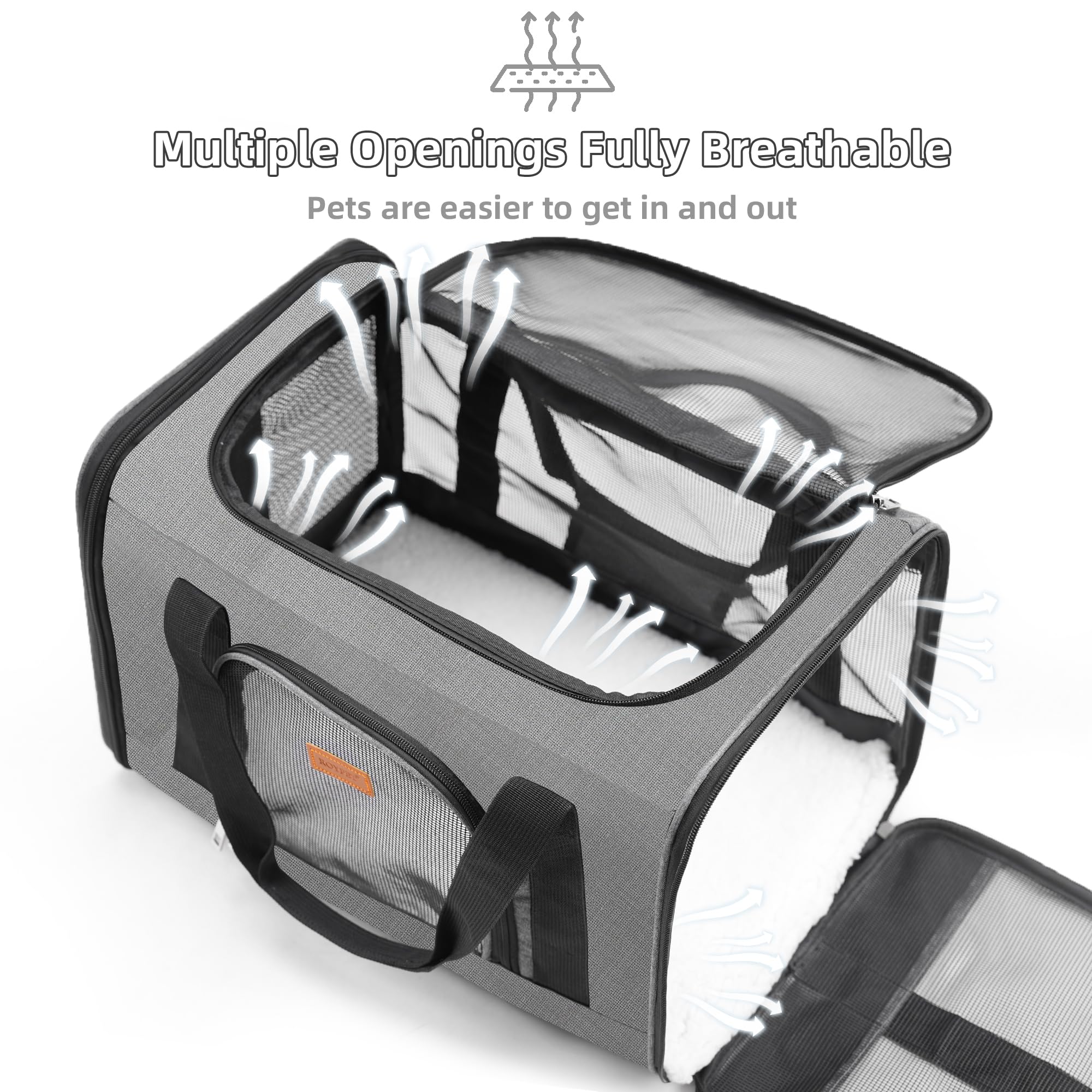 ROYPET gamelle pliable incluse pour hydratation pratique en voyage