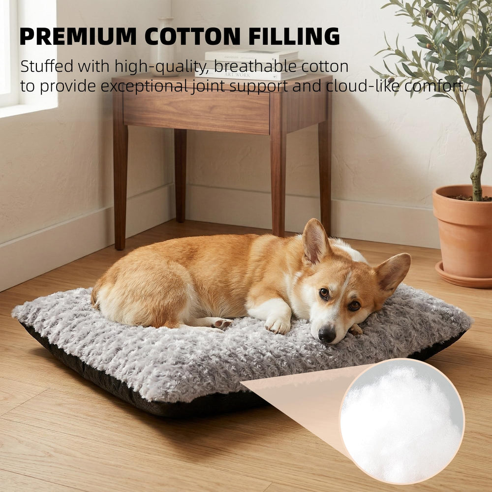 Roypet détail coutures résistantes durabilité et maintien