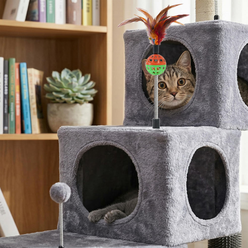 Roypet marche basse et accès facile idéal pour chatons et seniors