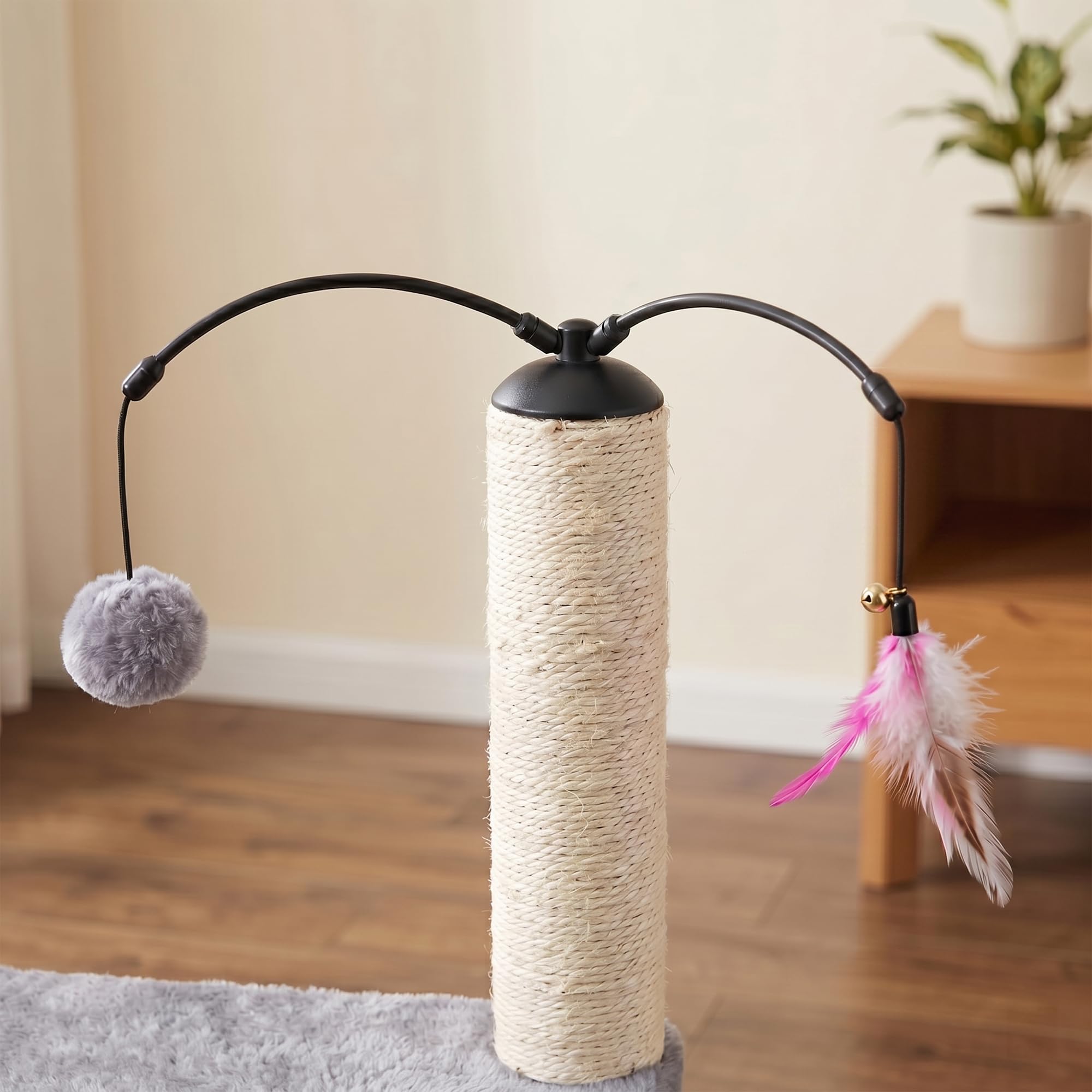 Roypet comparaison d'échelle montrant la taille 81 cm et l'adaptation en intérieur