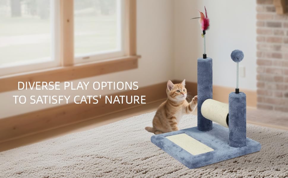 ROYPET comparaison de taille indiquant échelle adaptée aux chatons