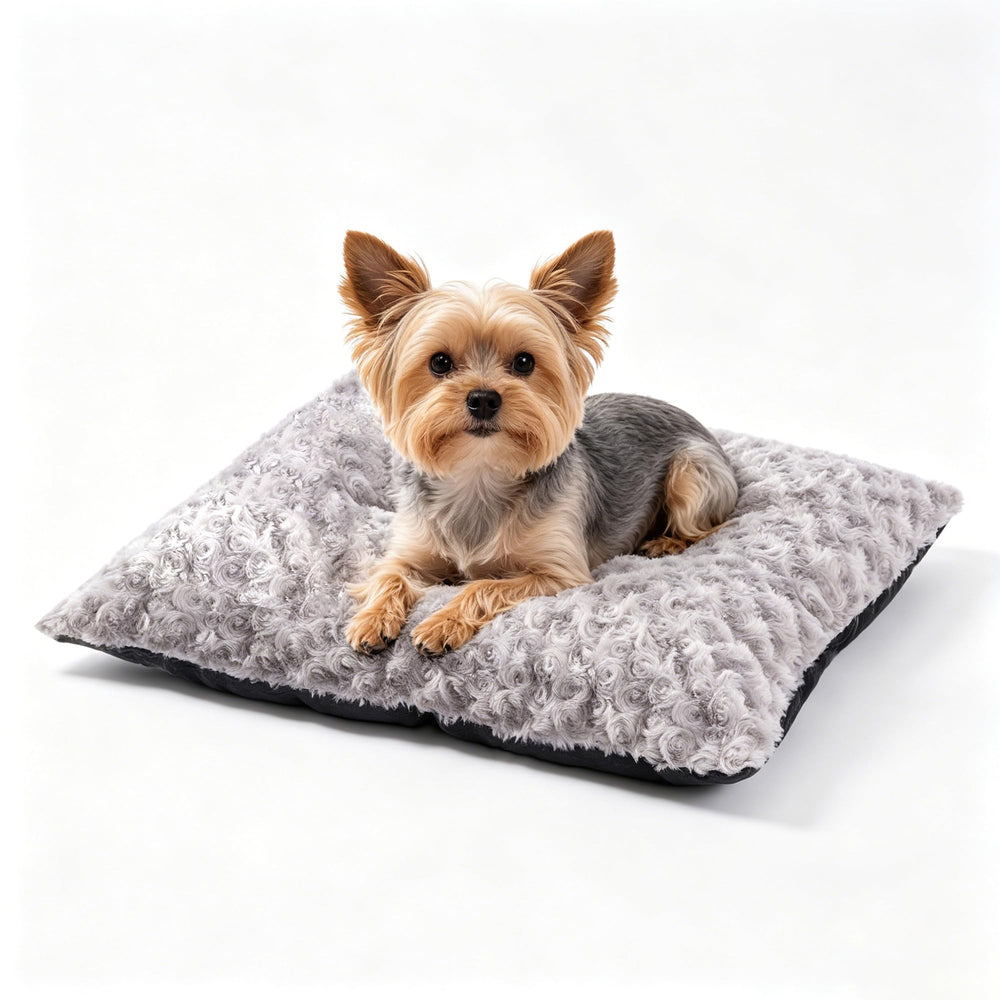 Roypet lit face gris montrant confort et design pour petit chien
