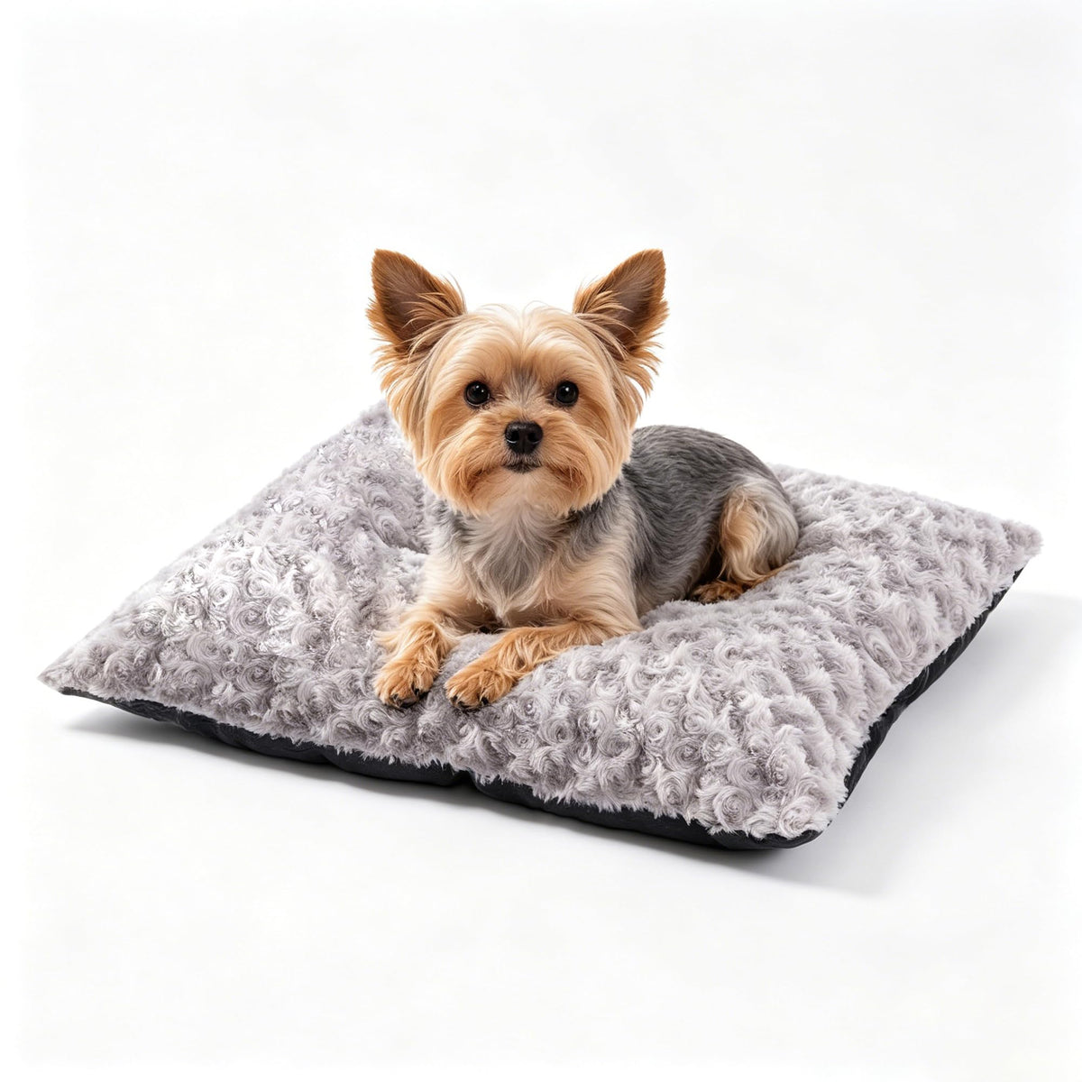 Roypet lit face gris montrant confort et design pour petit chien