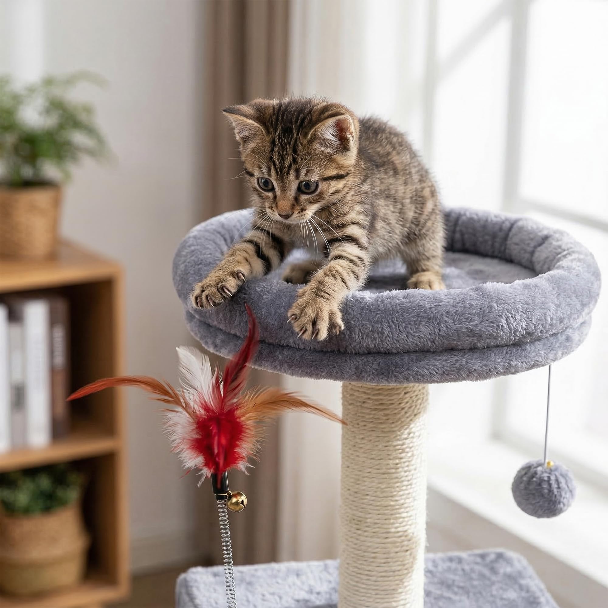 Roypet plateforme supérieure rembourrée pour siestes confortables en hauteur