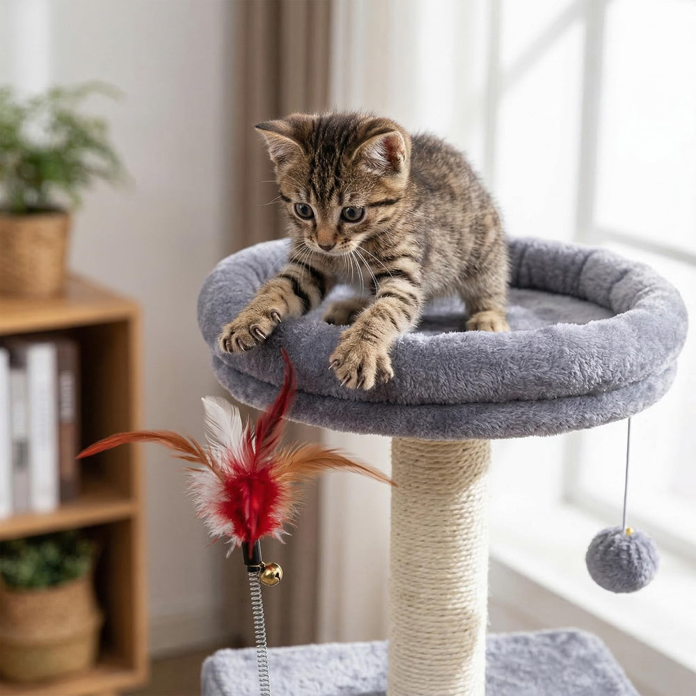 Roypet plateforme supérieure rembourrée pour siestes confortables en hauteur