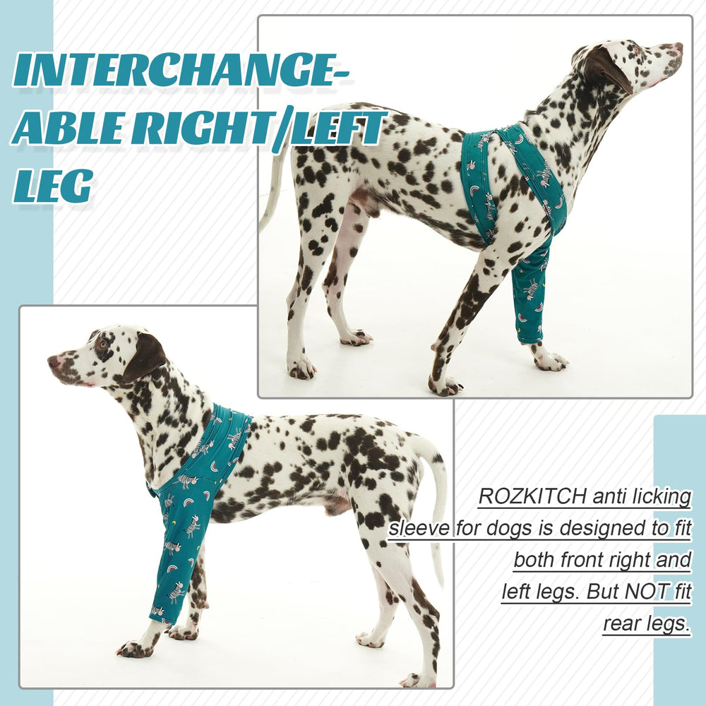 Chien portant la housse ROZKITCH en promenade montrant protection active