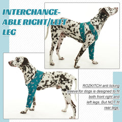 Chien portant la housse ROZKITCH en promenade montrant protection active
