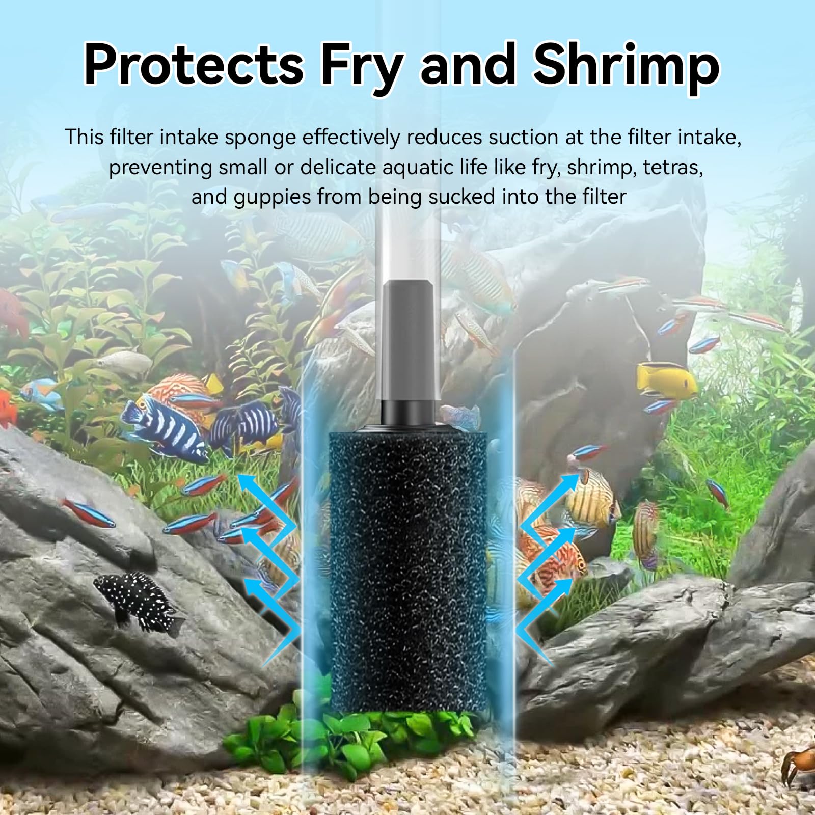 RPBKE gros plan mousse montrant texture poreuse pour filtration efficace