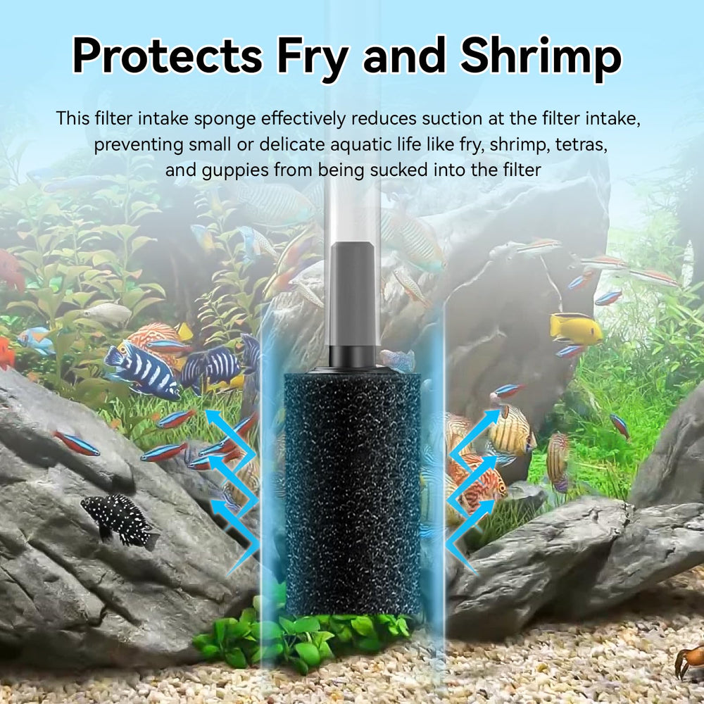RPBKE gros plan mousse montrant texture poreuse pour filtration efficace