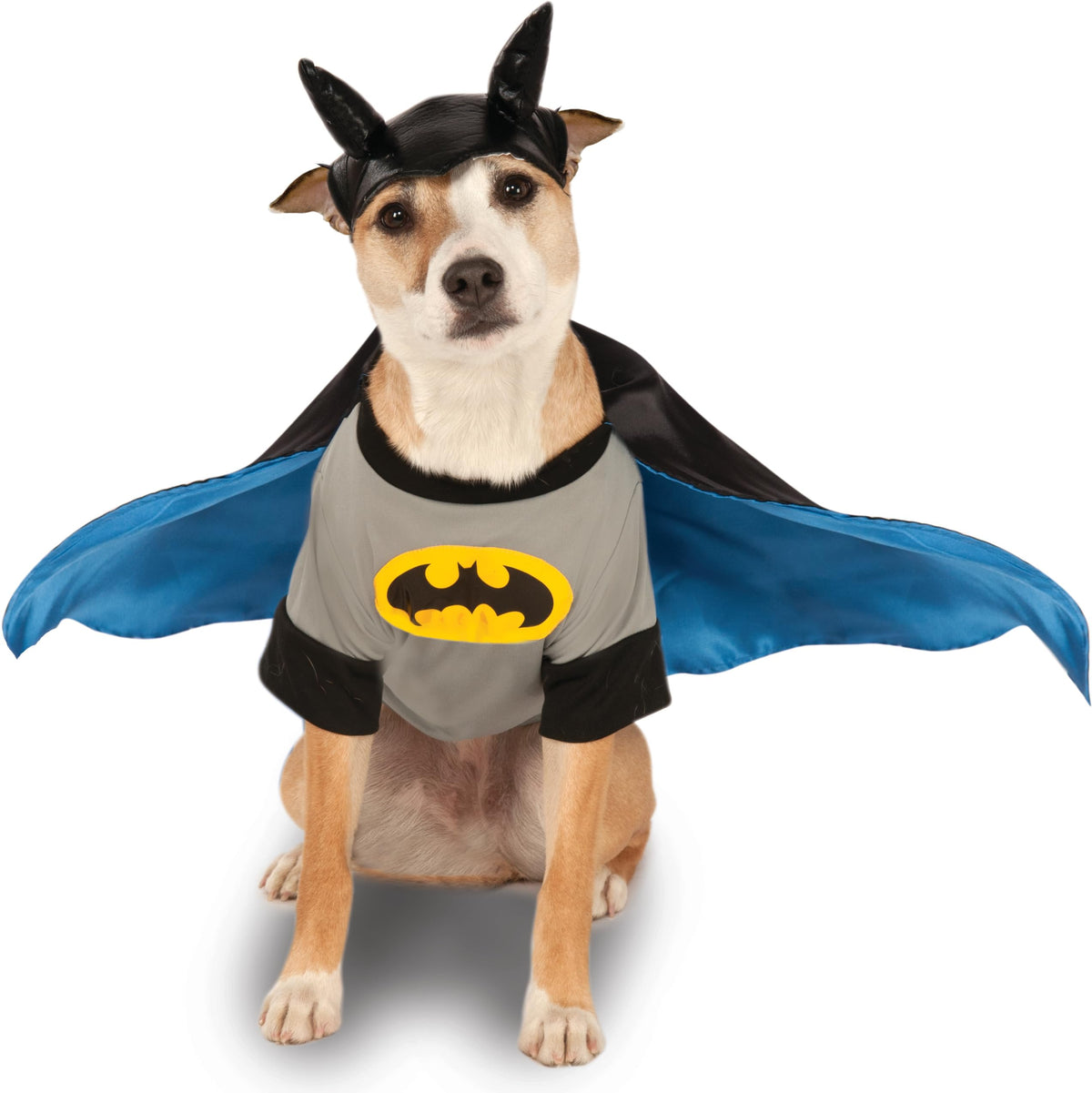 Rubies déguisement Batman vue avant montrant le logo et confort