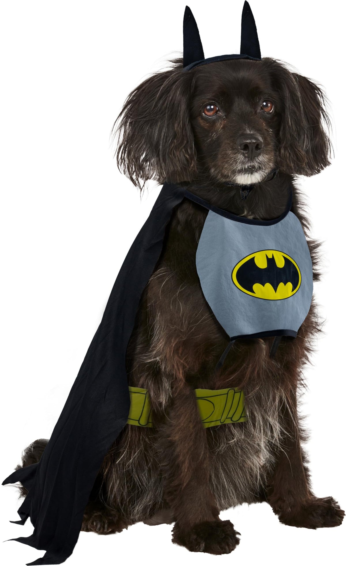 Rubies Batman face avant montrant le costume complet et un look héroïque