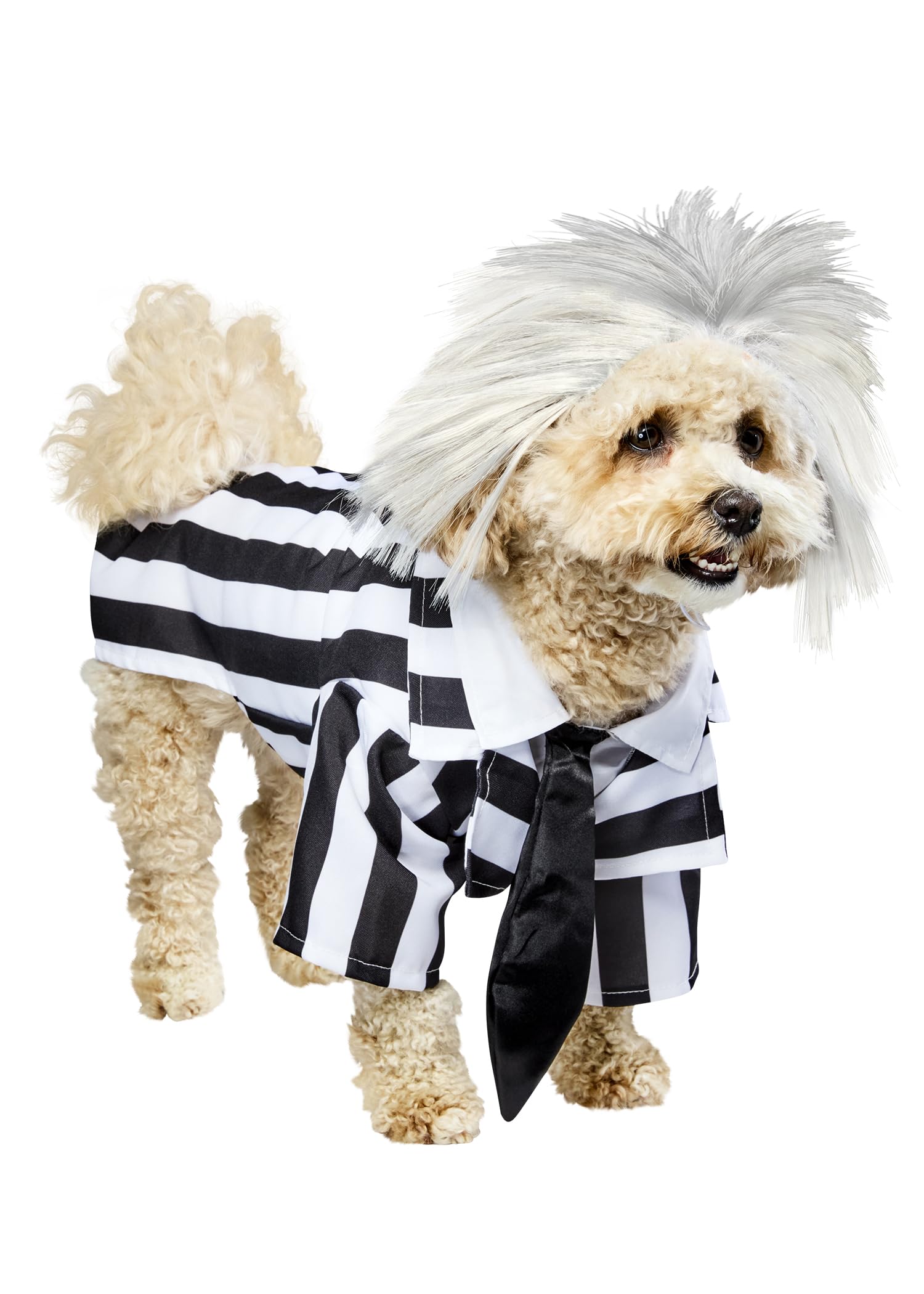 Rubies Beetlejuice devant du costume, look fidèle pour photos amusantes