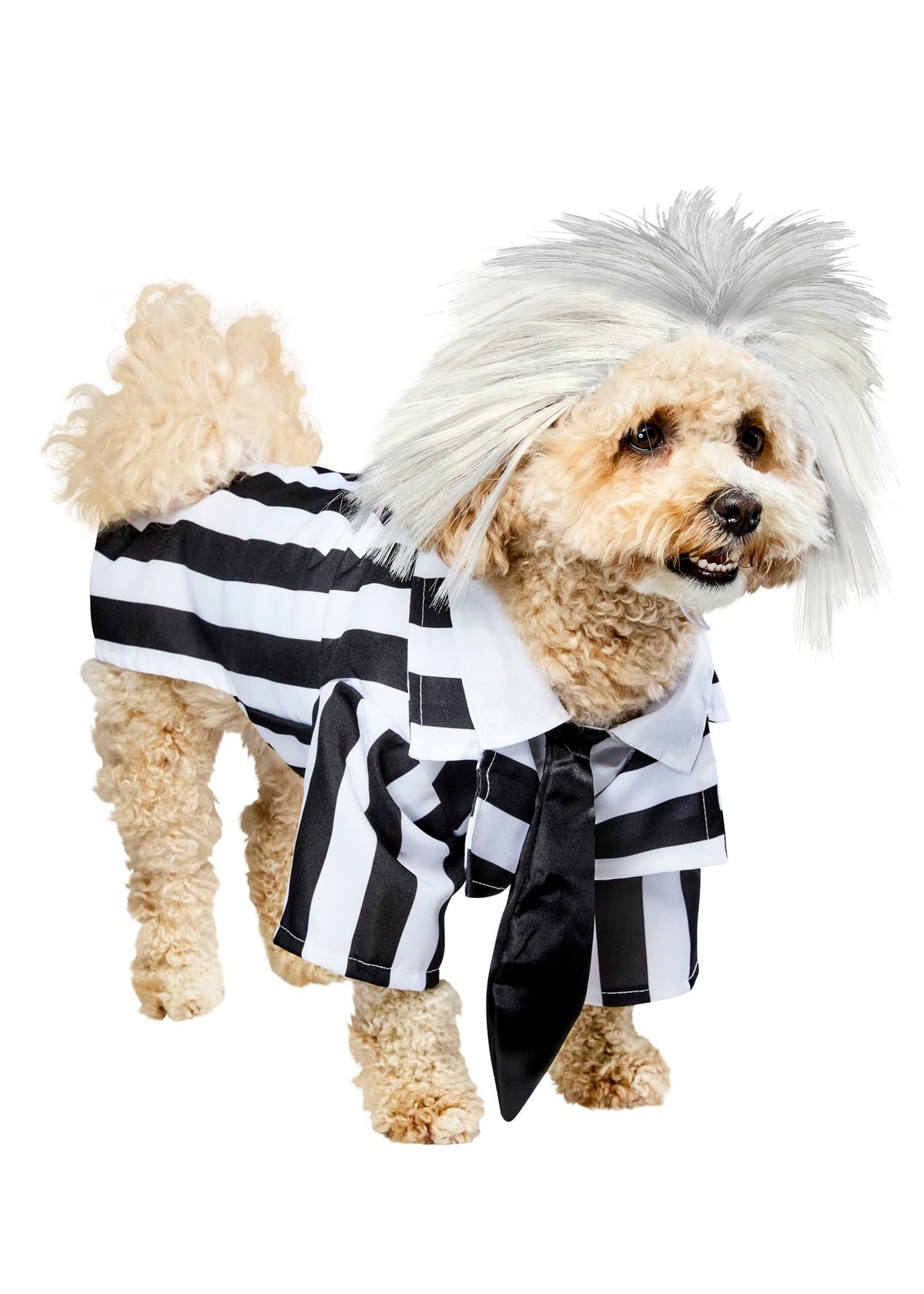 Rubies Beetlejuice devant du costume, look fidèle pour photos amusantes