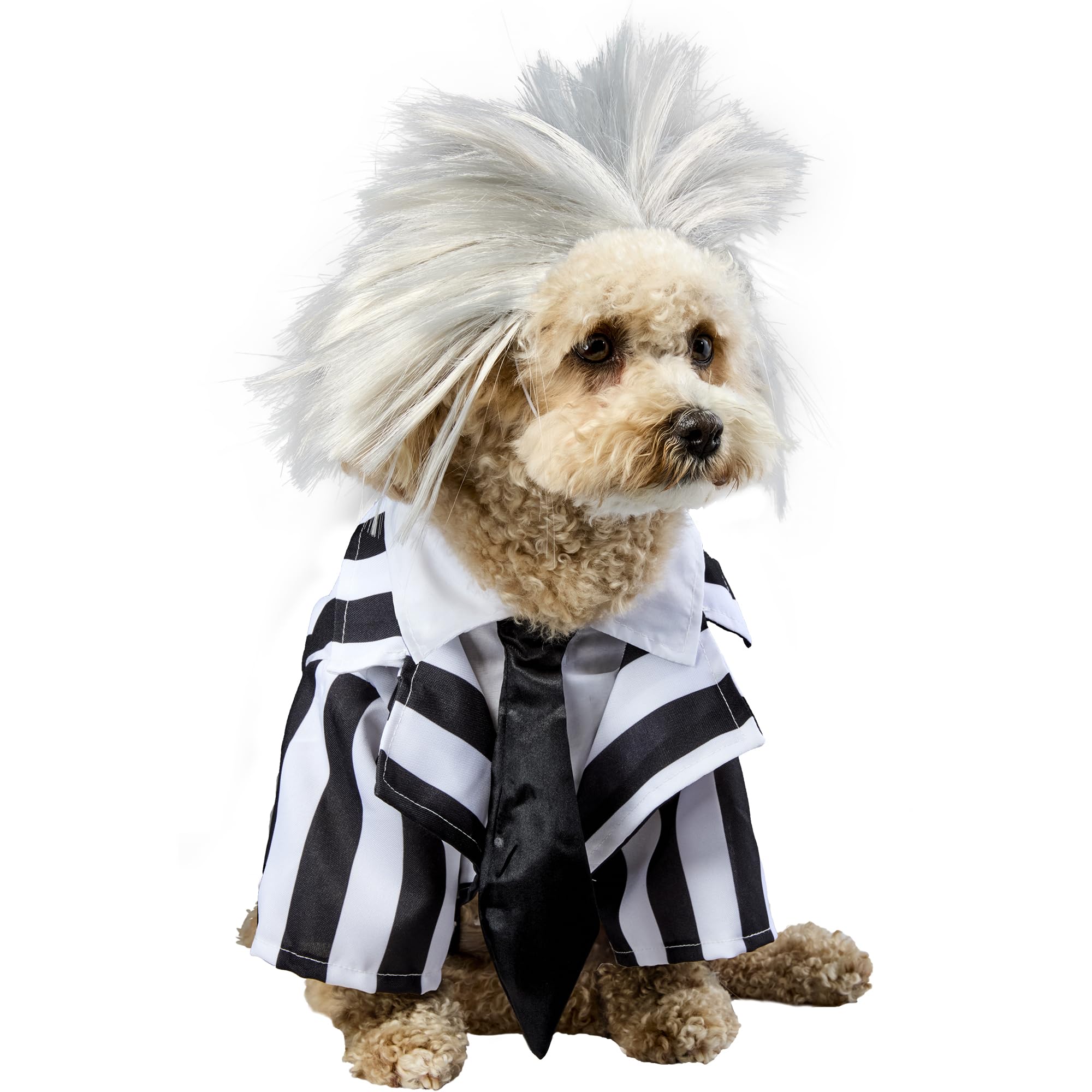Rubies Beetlejuice perruque en gros plan, texture coiffée pour effet comique