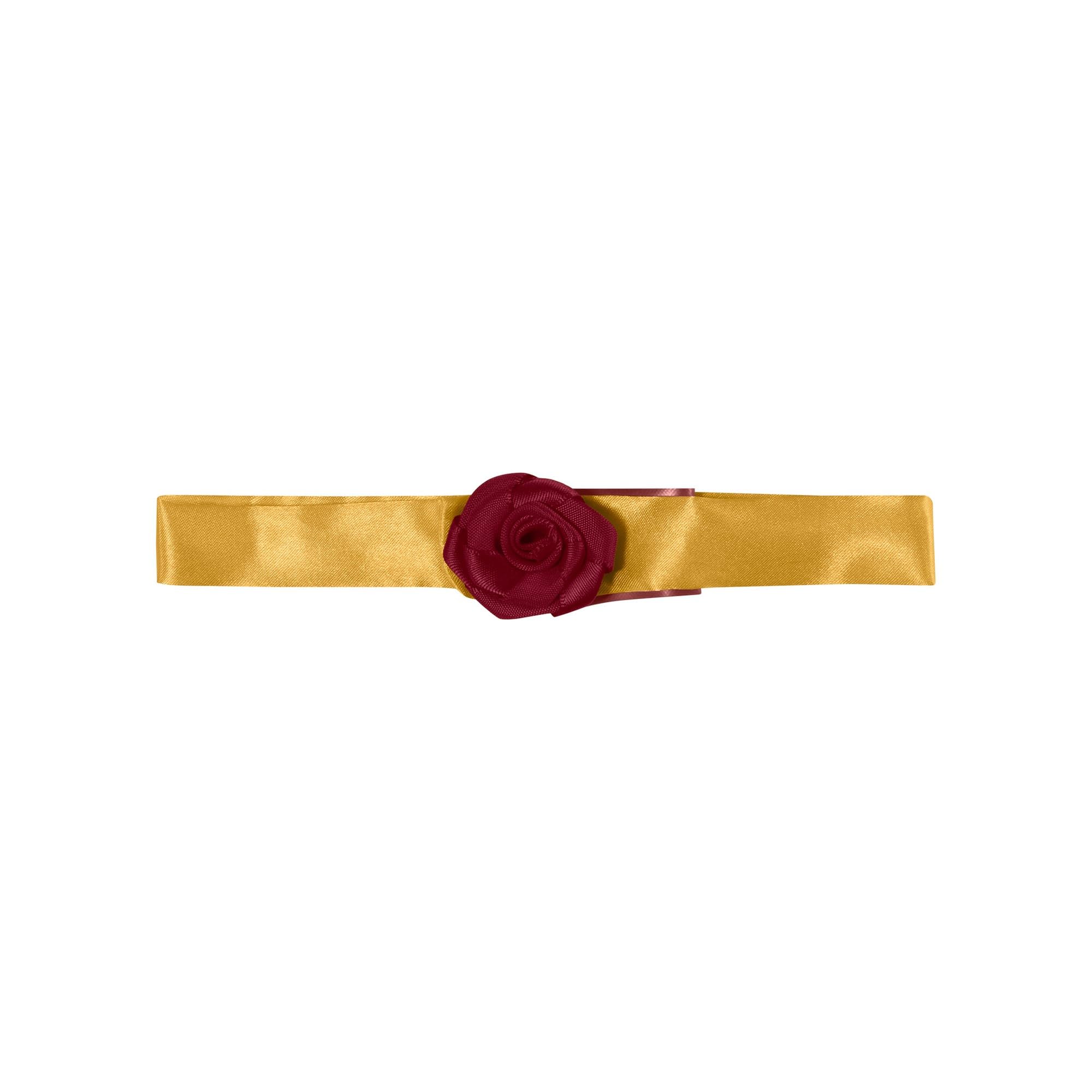 Rubies Belle costume porté par un chien en extérieur, idéal pour événements