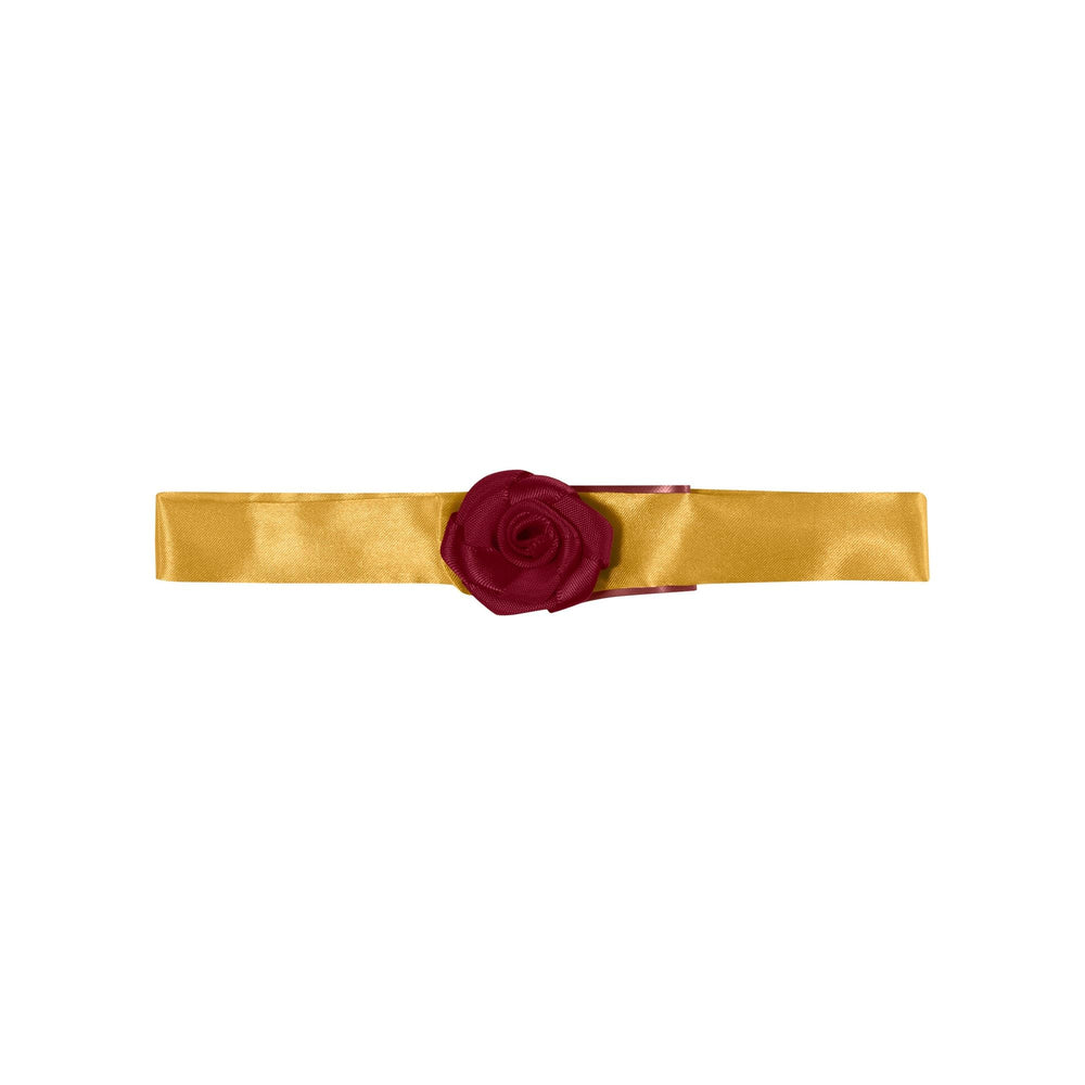 Rubies Belle costume porté par un chien en extérieur, idéal pour événements