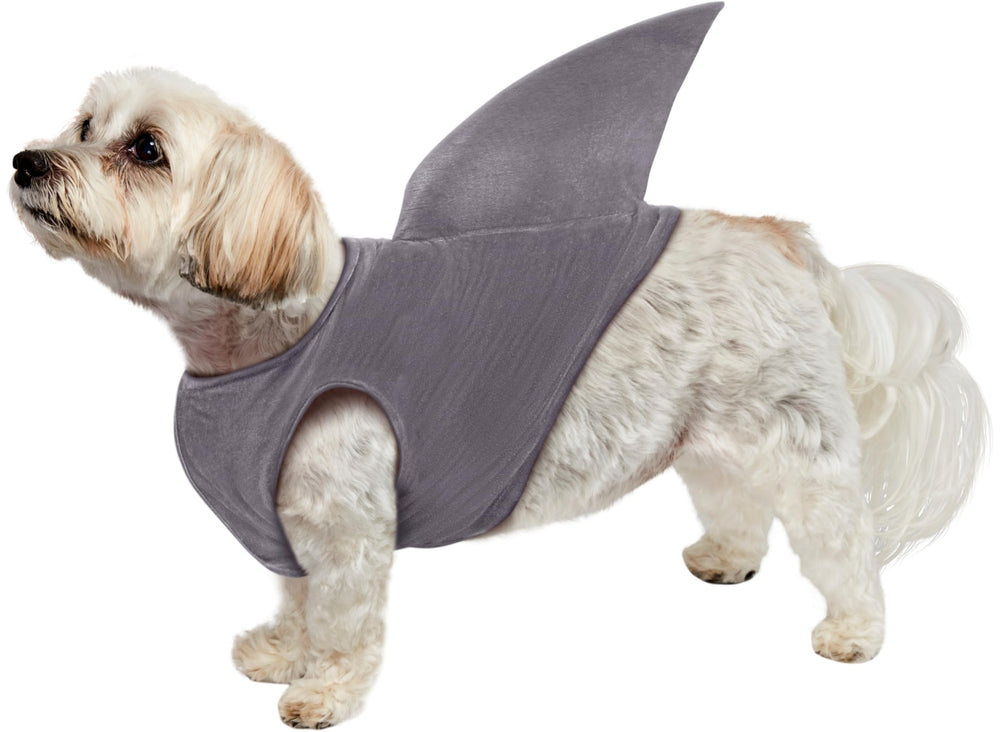 Rubies petit chien portant l'aileron dehors, tenue qui attire les regards