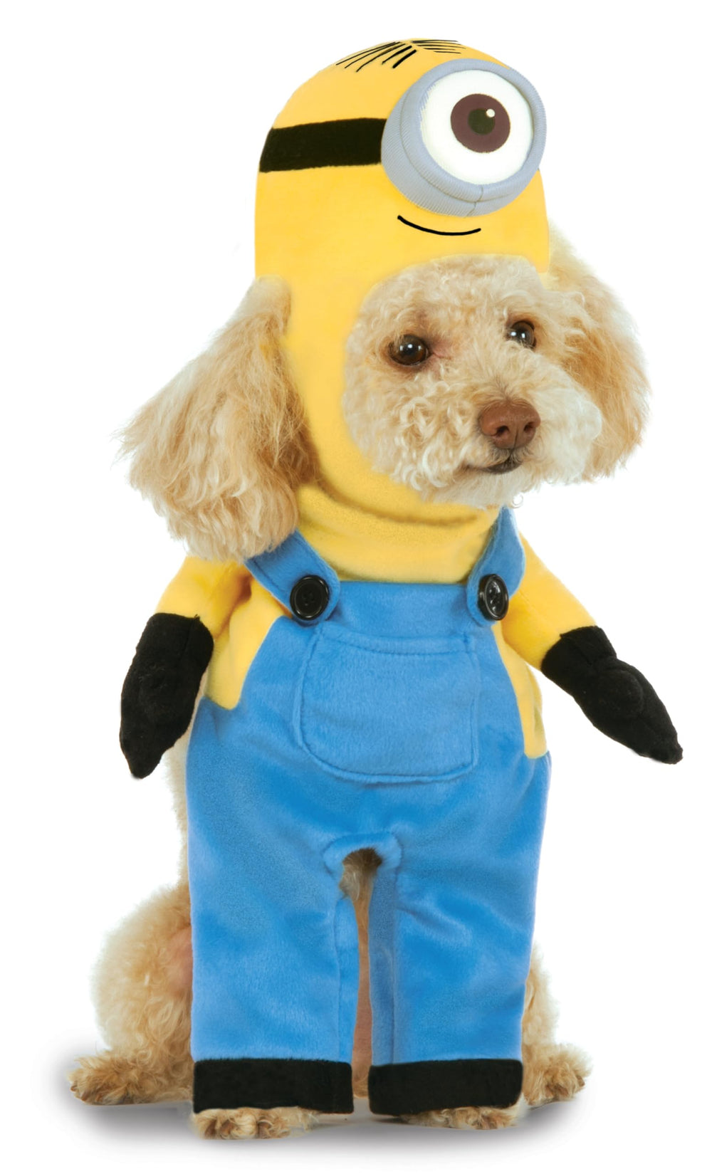 Rubies costume Minion Stuart porté par un chien, look fidèle et amusant