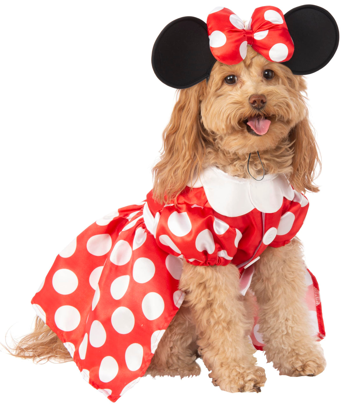 Rubies costume Minnie vue de face montre la robe et ajustement confortable