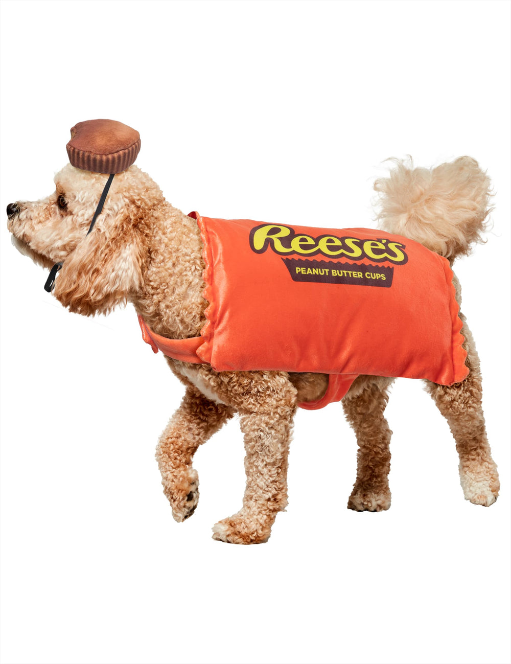 Rubies Reese's tabard de face montrant le design iconic et attractif