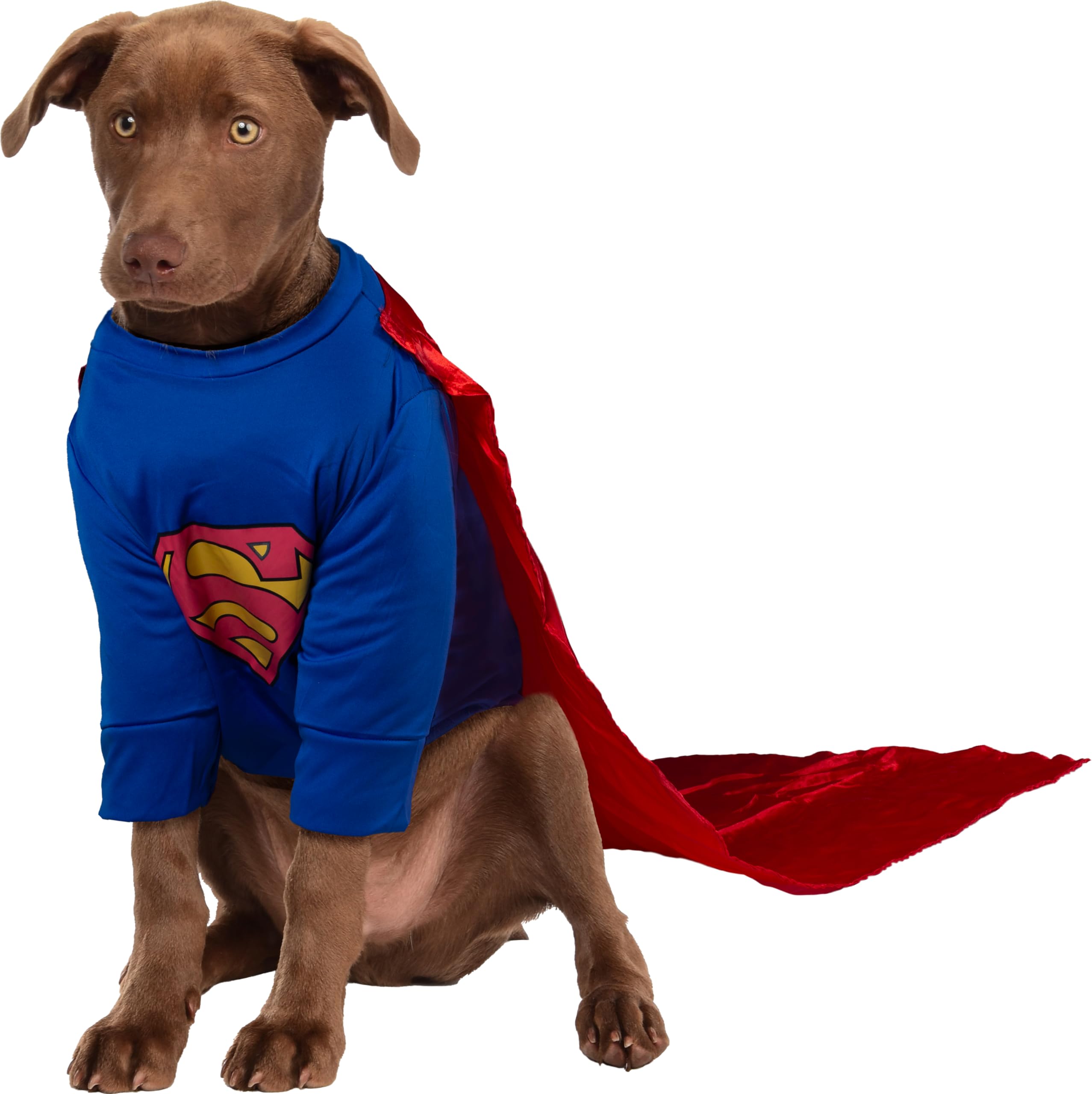 Rubies costume Superman comparaison taille montrant ajustement Medium
