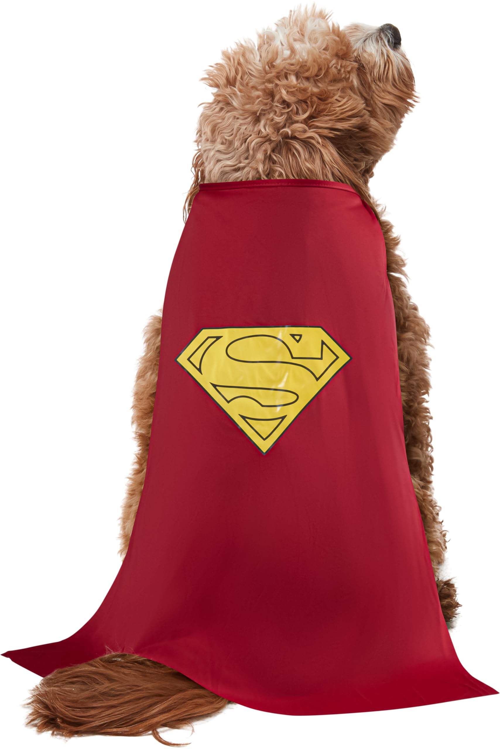 Rubies comparaison taille montrant costume XL adapté aux animaux moyens-grands