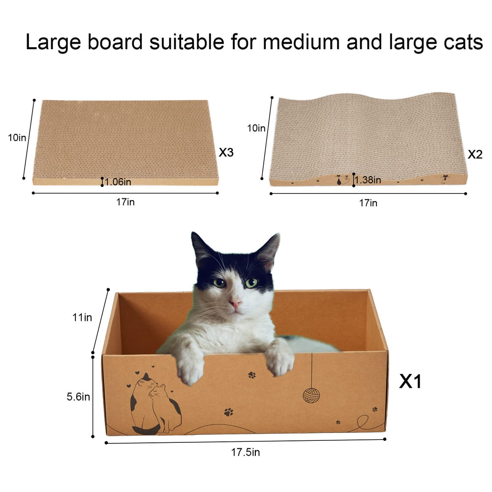 RUBMEOW sachet d’herbe à chat pour attirer et stimuler le chat